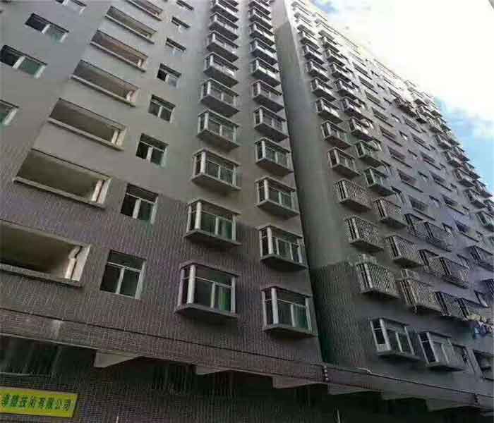 金蘋果園村委統建樓