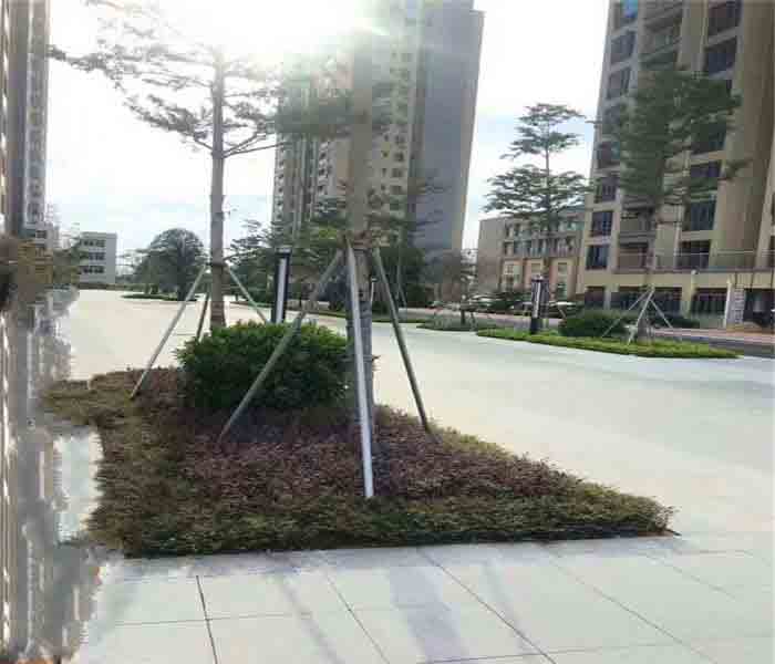 松崗村委統建樓:匯豐花園