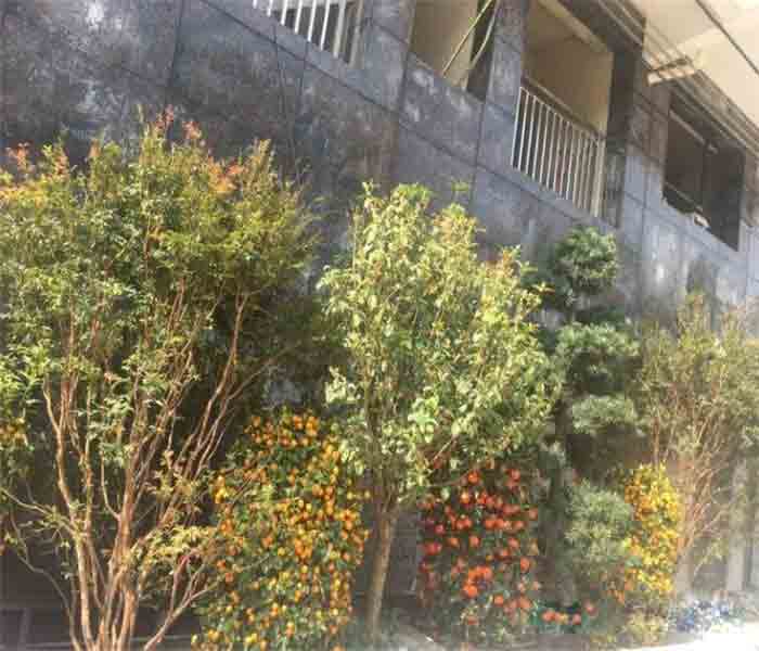 <a href=/dalingshan/ target=_blank class=infotextkey>大嶺山小產權房</a>出售:御湖雅居