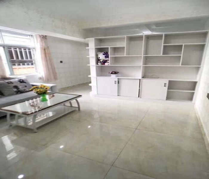 深圳龍華小產權房:富萊時代