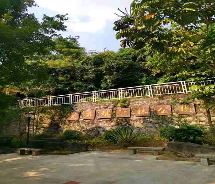 深圳大浪小產權房,上合花園里