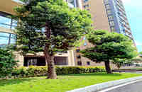 鳳崗小產權房買賣:鳳崗花園5棟花園小區(qū)房