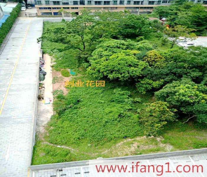 黃江小產權房出售信息