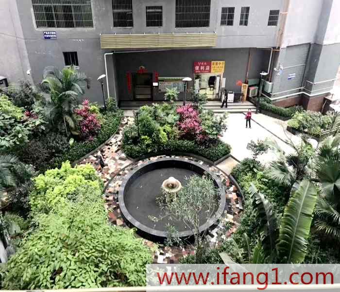 布吉村委統(tǒng)建樓價格出售